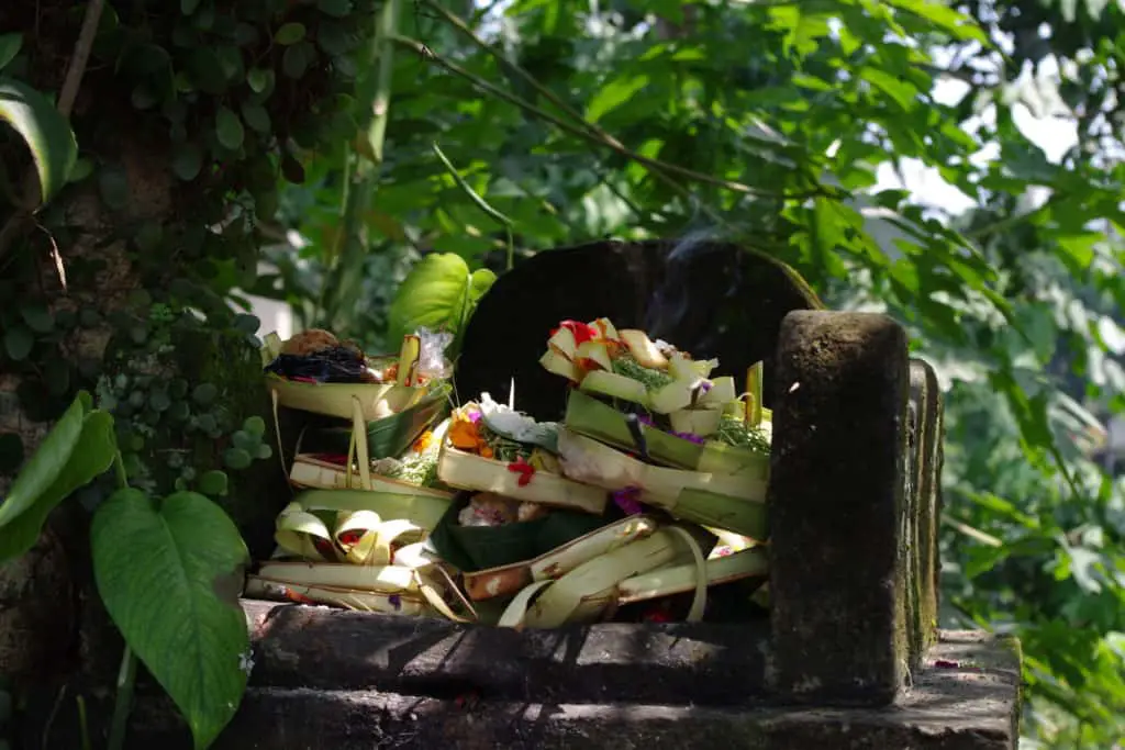 daily offerings in bali